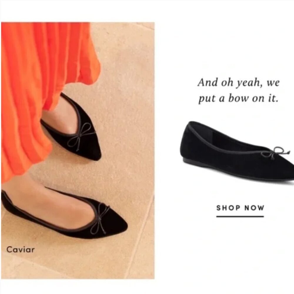Birdies Goldfinch Velvet Pointed Toe Ballet Flat in Caviar Velvet Black Size 7.5 - Picture 9 of 9